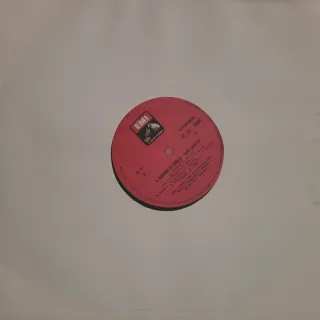 Lote Vinilos Ópera Giuseppe Verdi, Giordano, Rossi