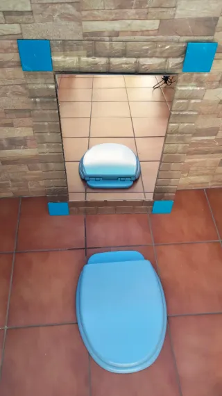 Espejo de baño  Regalo tapa WC y plafon