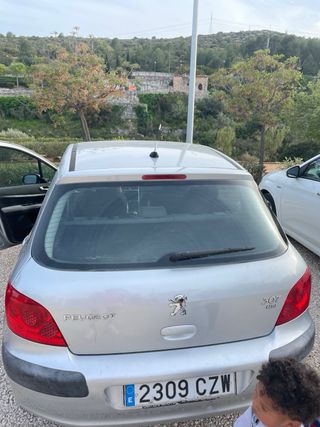 Peugeot 307 del 2004