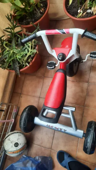 Triciclo Monty para niños
