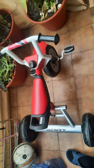 Triciclo Monty para niños