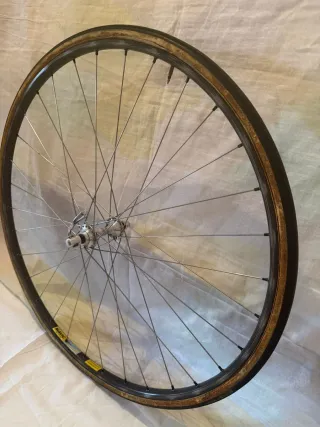 Rueda Delantera Mavic Gel 280 Campagnolo C-Record
