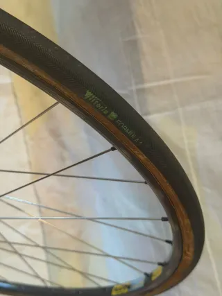 Rueda Delantera Mavic Gel 280 Campagnolo C-Record