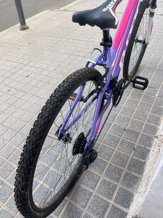 Bicicleta de Montaña B-PRO Morada