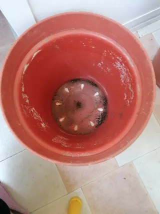 Lote 2 Macetas Marrones Plástico