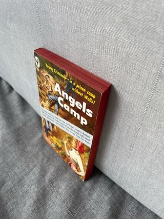 Libro Angels Camp