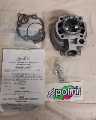 Gruppo Termico Polini D.47 Minarelli AM 345 6 Trav