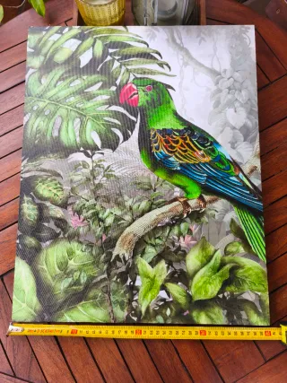 Cuadro loro verde y multicolor