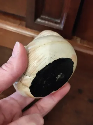 Scatola a forma di coniglio laccata