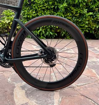 Ruedas Roval Rapide CLX