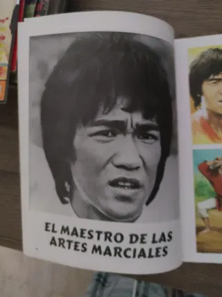 Libro BRUCE LEE, el rey de las artes marciales