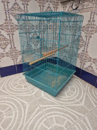Jaula para loros