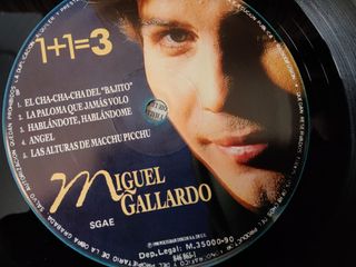 Vinilo Miguel Gallardo 1+1=3