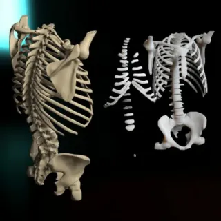 DISEÑADOR GRÁFICO 3D Impresión 3D Diseño 3D Stl