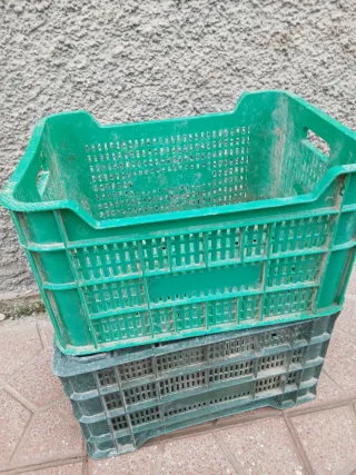 Cajas de plástico verdes y negras mínimo 10 cajas