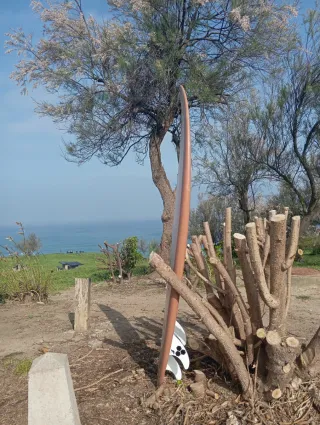 Tabla de surf Zeus Surf
