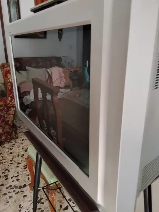 Televisor Panasonic TX-28PM11F Plata