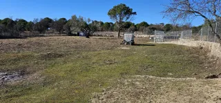 Vendo finca rústica