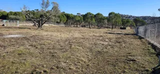 Vendo finca rústica