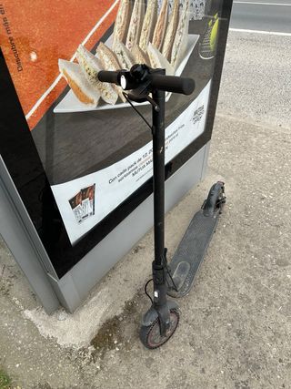 Patinete Eléctrico Xiaomi Pro 2