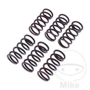 Muelles Embrague Kawasaki x6