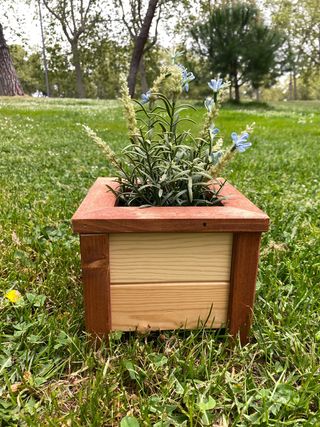 Jardinera de madera 19x16.5 cm