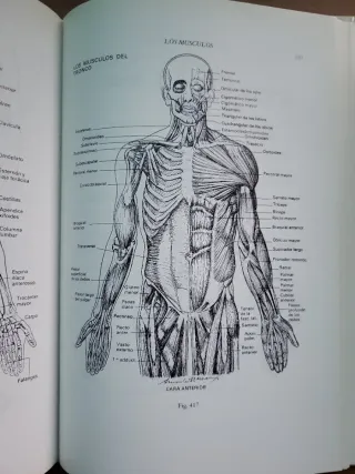 Anatomia artistica del hombre