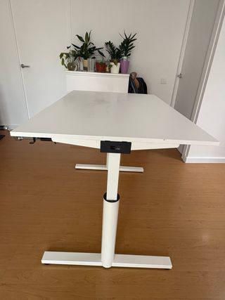 Escritorio Gispen Elevable