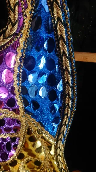 Bolero Terciopelo Lentejuelas Multicolor