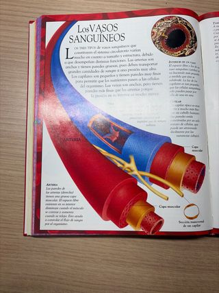 Libro El cuerpo humano