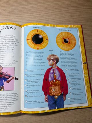 Libro El cuerpo humano