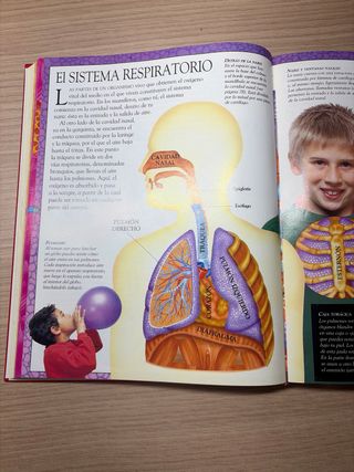 Libro El cuerpo humano