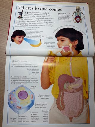 Libro El cuerpo humano