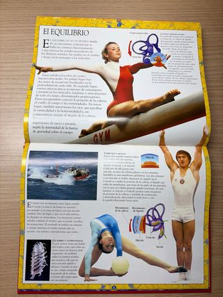 Libro El cuerpo humano