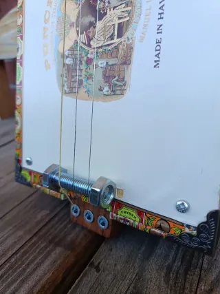 Cigar Box Guitar