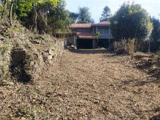 Desbroce, talas y jardineria