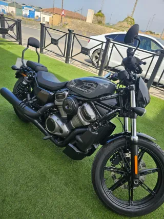 Harley-Davidson Cruiser Negra/Gris