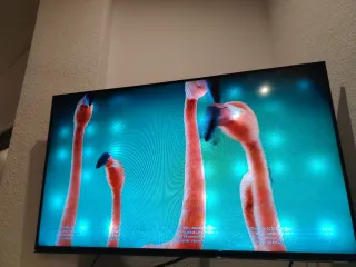 Samsung TV 48