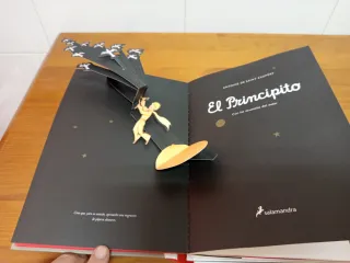 Libro el principito con ilustraciones en relieve