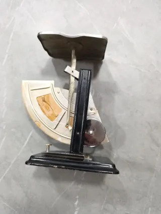 Balanza de precisión Petrus 120g