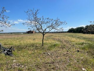 FINCA RÚSTICA EN VENTA – JARAÍZ DE LA VERA