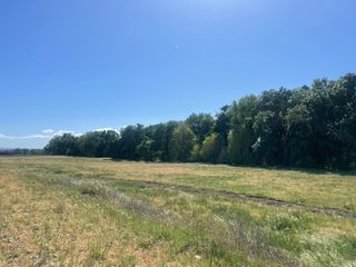 FINCA RÚSTICA EN VENTA – JARAÍZ DE LA VERA