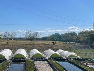 FINCA RÚSTICA EN VENTA – JARAÍZ DE LA VERA