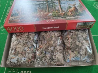 Castorland Puzzle 4000 Piezas