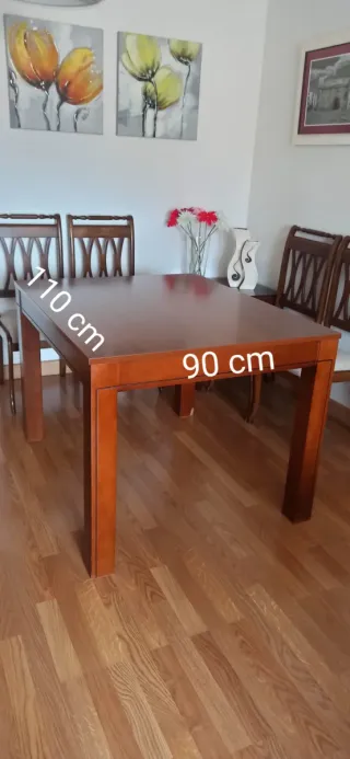 Conjunto mesa y 6 sillas de madera