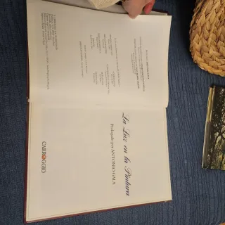 Libro la luz en la pintura prolongado antonio gala