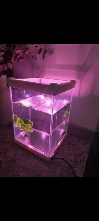 Pecera pequeña con luz LED