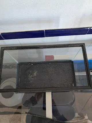 Pecera pequeña de plastico ( gambario)