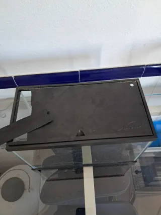 Pecera pequeña de plastico ( gambario)