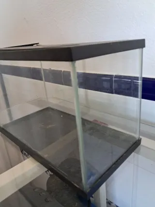 Pecera pequeña de plastico ( gambario)